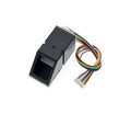 Fingerprint sensor module for biometric authentication