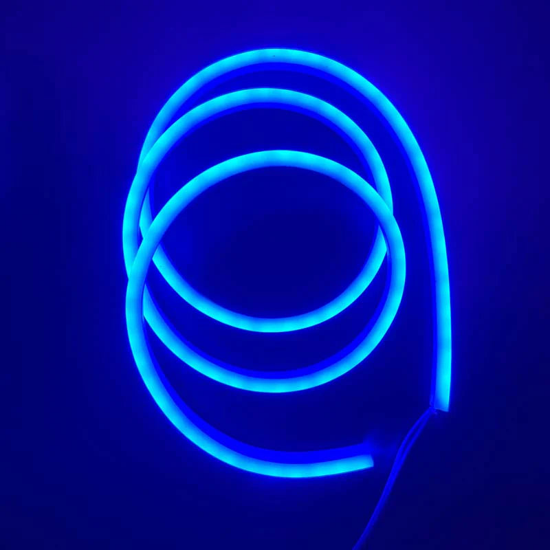 Neon Flexible LED Strip Light -  Blue color - 5M